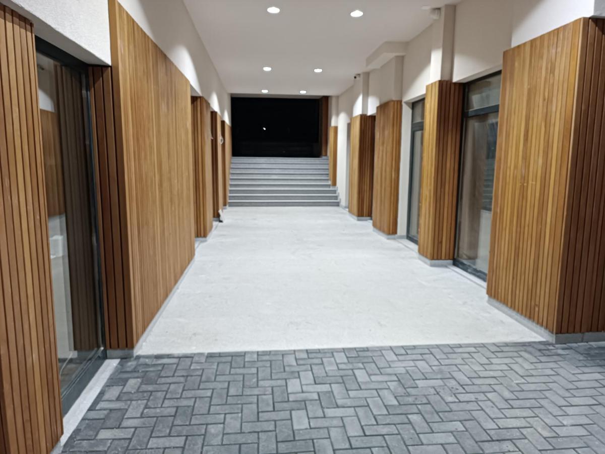 Kopaonik Apart Bela Reka Brzeće エクステリア 写真